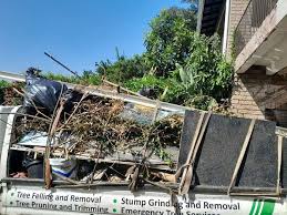 Best Yard Waste Removal  in Louisa, VA